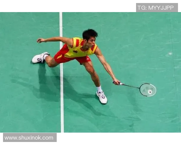 北京羽毛球队杯赛战术分析与表现评估全景解读