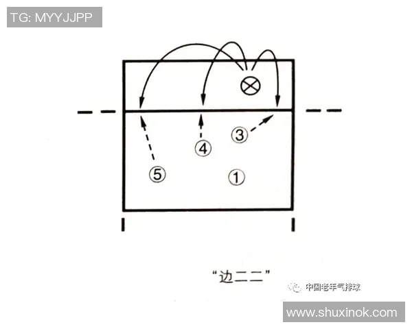 南京排球队在城市联赛中的战术分析与表现评估