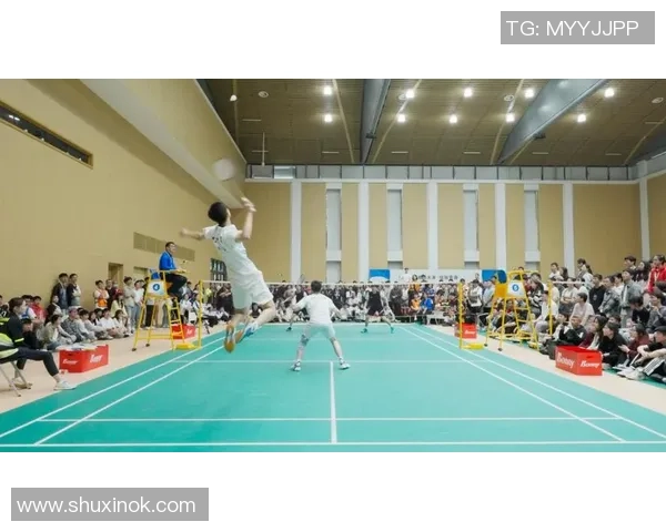 杭州羽毛球队战术解析：构建高效控制体系的成功之道