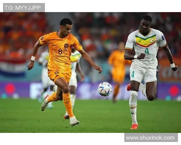 深圳网球队在世界杯积分榜上以87分稳居第一名展现强劲实力