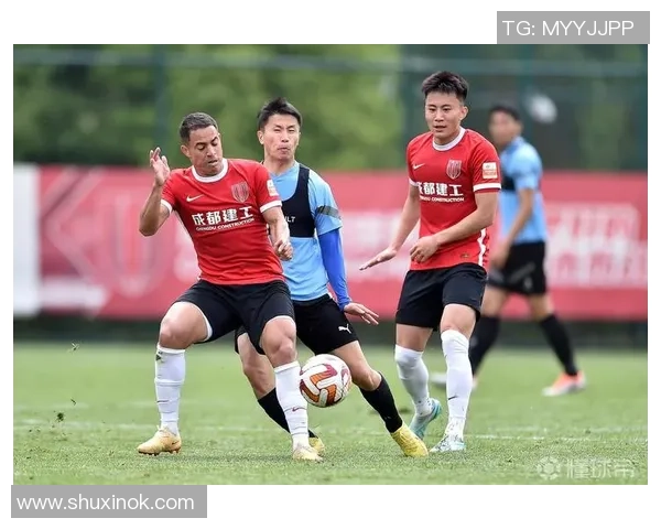 成都足球队团队协作变革引发热议助力球队崛起新篇章