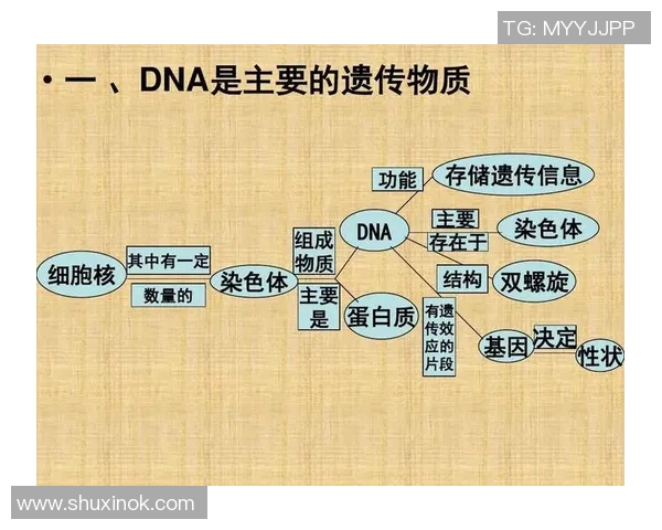 足球明星儿子身高揭秘与父亲的遗传基因关系分析 足球明星儿子身高揭秘与父亲的遗传基因关系分析