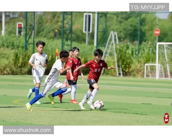 成都足球队荣登全国足球灵活性排行榜第七名展现出色团队实力与潜力