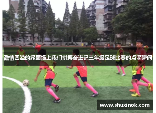 激情四溢的绿茵场上我们拼搏奋进记三年级足球比赛的点滴瞬间