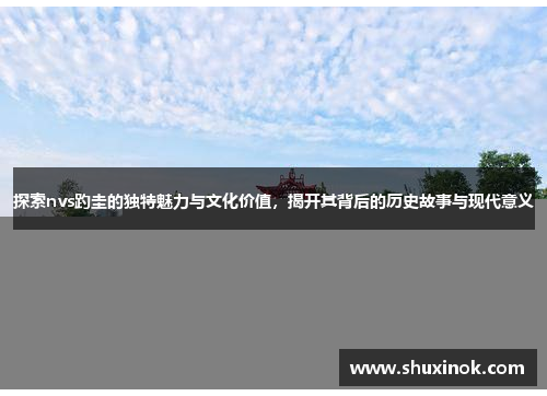 探索nvs趵圭的独特魅力与文化价值，揭开其背后的历史故事与现代意义