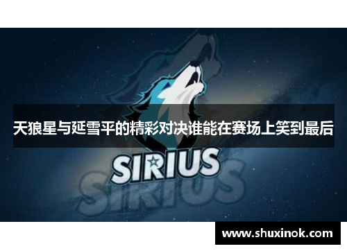天狼星与延雪平的精彩对决谁能在赛场上笑到最后